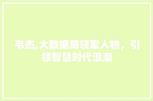 韦杰,大数据局领军人物，引领智慧时代浪潮