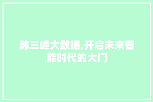 韩三峰大数据,开启未来智能时代的大门 头条优化