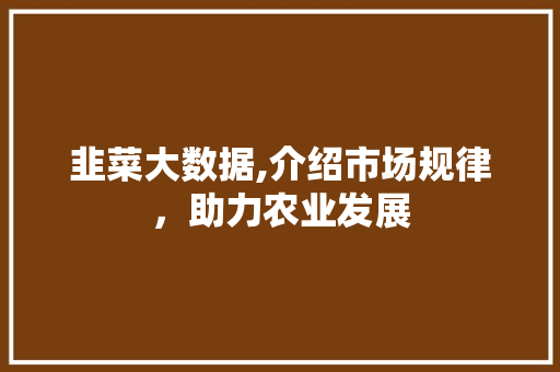 韭菜大数据,介绍市场规律，助力农业发展