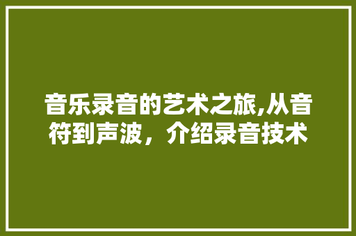 音乐录音的艺术之旅,从音符到声波，介绍录音技术 AI技术学习