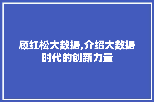顾红松大数据,介绍大数据时代的创新力量