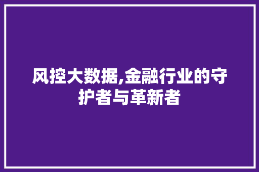 风控大数据,金融行业的守护者与革新者