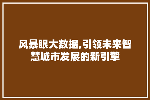 风暴眼大数据,引领未来智慧城市发展的新引擎 网站开发