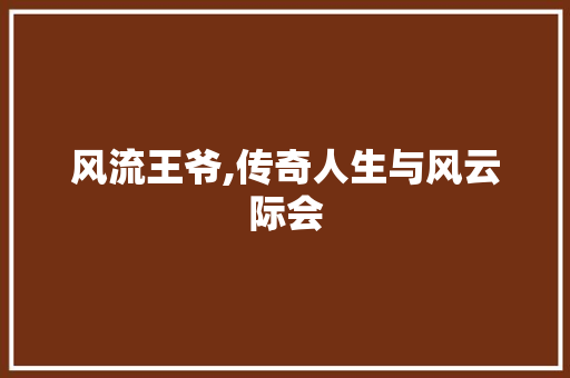 风流王爷,传奇人生与风云际会 AI技术学习