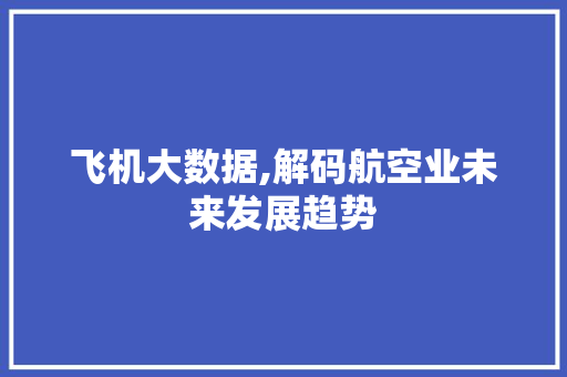 飞机大数据,解码航空业未来发展趋势