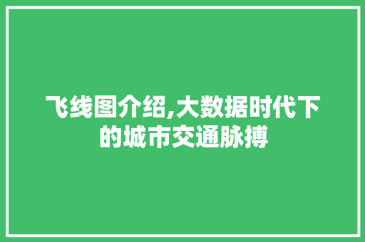 飞线图介绍,大数据时代下的城市交通脉搏