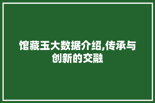 馆藏玉大数据介绍,传承与创新的交融