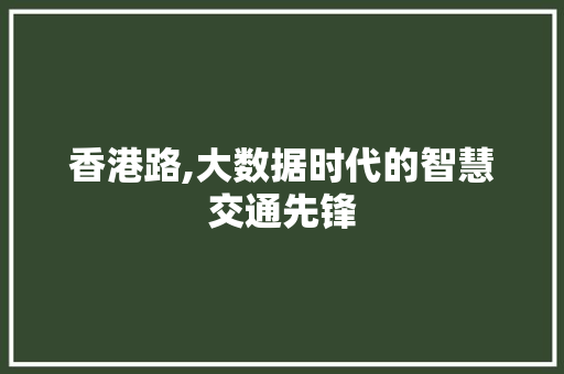 香港路,大数据时代的智慧交通先锋 百度算法