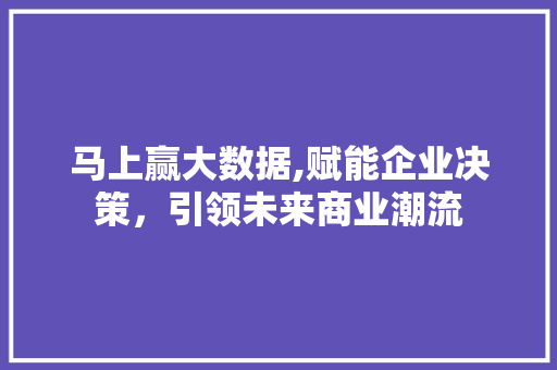 马上赢大数据,赋能企业决策，引领未来商业潮流 头条优化
