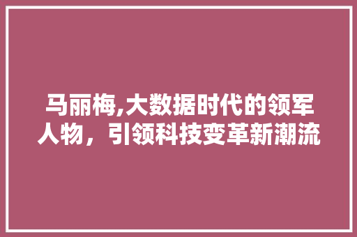 马丽梅,大数据时代的领军人物，引领科技变革新潮流