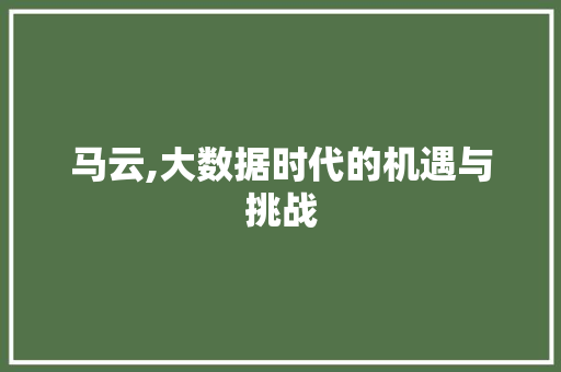 马云,大数据时代的机遇与挑战