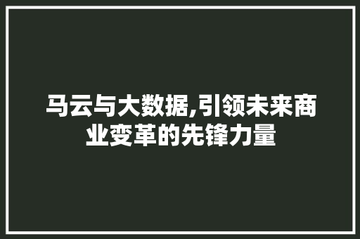 马云与大数据,引领未来商业变革的先锋力量