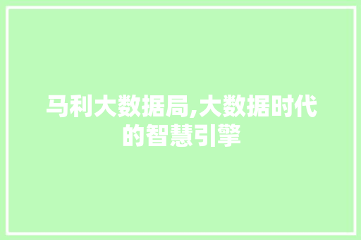 马利大数据局,大数据时代的智慧引擎