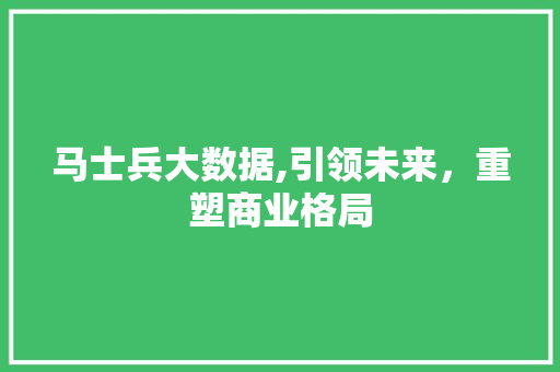 马士兵大数据,引领未来，重塑商业格局 360搜优化