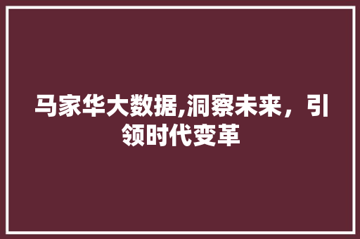 马家华大数据,洞察未来，引领时代变革 seo技术
