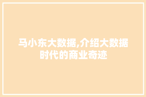 马小东大数据,介绍大数据时代的商业奇迹