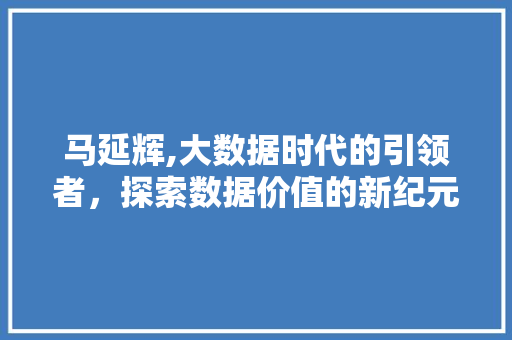 马延辉,大数据时代的引领者，探索数据价值的新纪元 AI技术学习