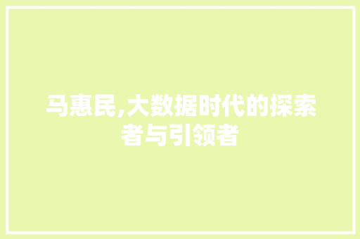 马惠民,大数据时代的探索者与引领者 网站开发