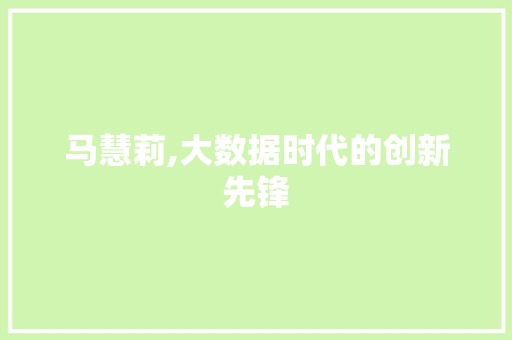 马慧莉,大数据时代的创新先锋 百度算法