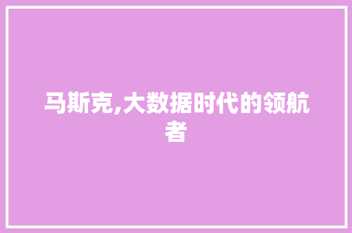 马斯克,大数据时代的领航者 搜狗优化
