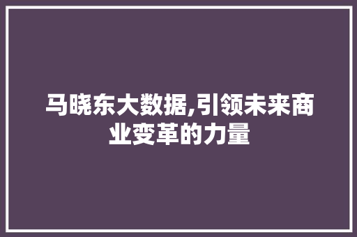 马晓东大数据,引领未来商业变革的力量