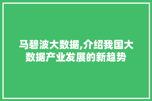马碧波大数据,介绍我国大数据产业发展的新趋势 百度算法
