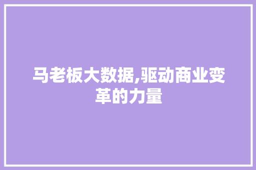马老板大数据,驱动商业变革的力量