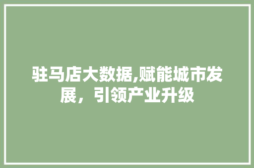 驻马店大数据,赋能城市发展，引领产业升级 360搜优化
