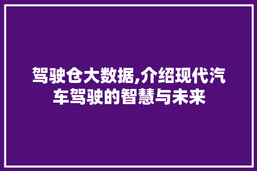 驾驶仓大数据,介绍现代汽车驾驶的智慧与未来