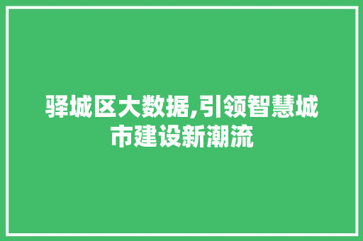 驿城区大数据,引领智慧城市建设新潮流 小程序开发