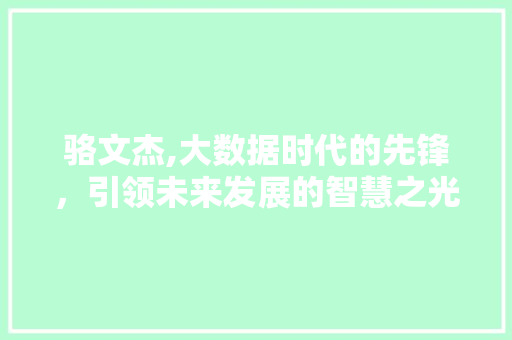骆文杰,大数据时代的先锋，引领未来发展的智慧之光 英文谷歌算法