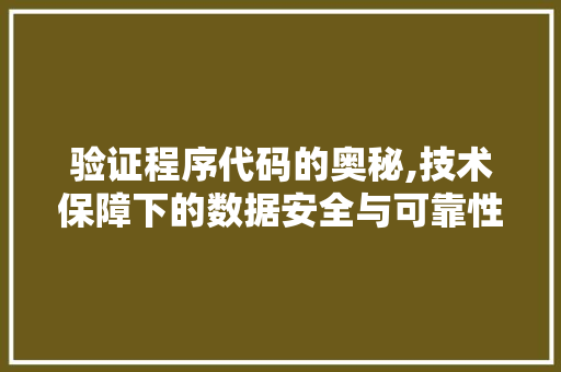 验证程序代码的奥秘,技术保障下的数据安全与可靠性