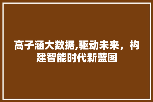 高子涵大数据,驱动未来，构建智能时代新蓝图 搜狗优化