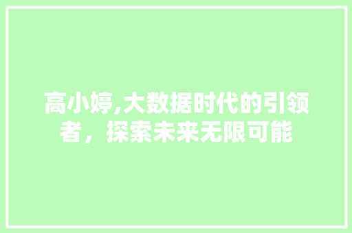 高小婷,大数据时代的引领者，探索未来无限可能 360搜优化