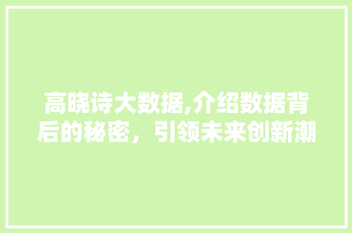 高晓诗大数据,介绍数据背后的秘密，引领未来创新潮流