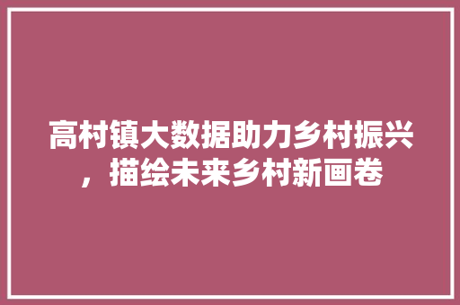 高村镇大数据助力乡村振兴，描绘未来乡村新画卷