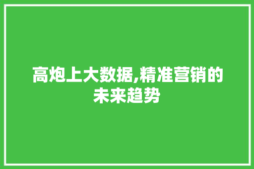 高炮上大数据,精准营销的未来趋势