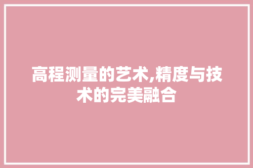 高程测量的艺术,精度与技术的完美融合