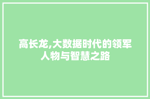 高长龙,大数据时代的领军人物与智慧之路 小程序开发