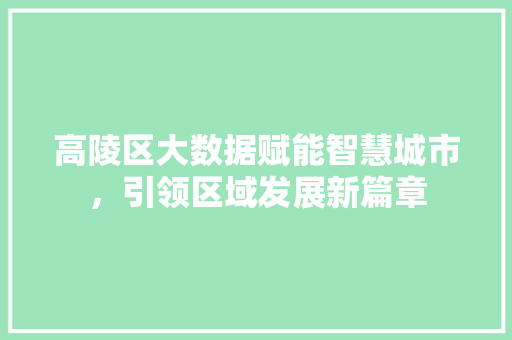 高陵区大数据赋能智慧城市，引领区域发展新篇章