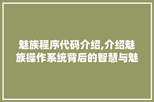 魅族程序代码介绍,介绍魅族操作系统背后的智慧与魅力