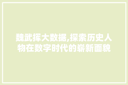 魏武挥大数据,探索历史人物在数字时代的崭新面貌 头条优化