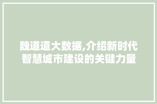 魏道道大数据,介绍新时代智慧城市建设的关键力量 小程序开发