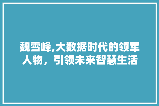 魏雪峰,大数据时代的领军人物，引领未来智慧生活