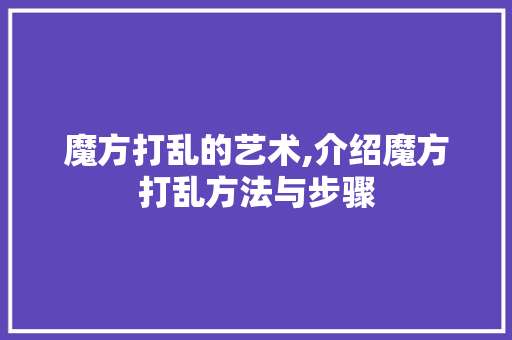魔方打乱的艺术,介绍魔方打乱方法与步骤