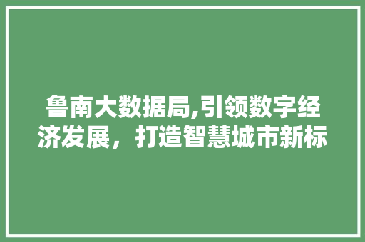 鲁南大数据局,引领数字经济发展，打造智慧城市新标杆