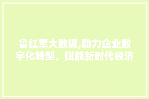 鲁红军大数据,助力企业数字化转型，赋能新时代经济