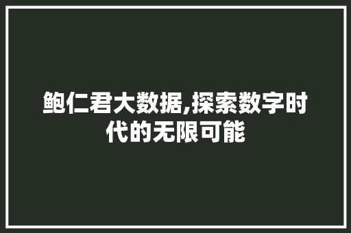 鲍仁君大数据,探索数字时代的无限可能 AI技术学习