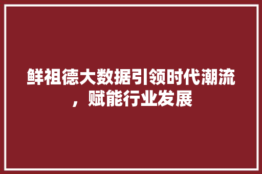 鲜祖德大数据引领时代潮流，赋能行业发展 AI技术学习