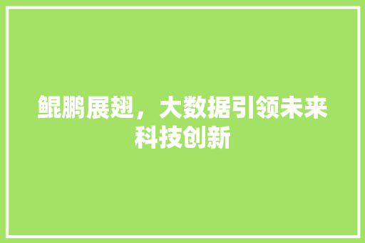 鲲鹏展翅，大数据引领未来科技创新 360搜优化